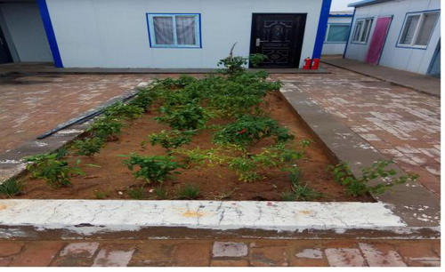 洗選煤運(yùn)營公司傾心打造“舒適套餐”