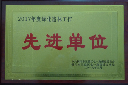機電安裝公司榮獲銅川市七一地區綠化造林先進單位榮譽稱號