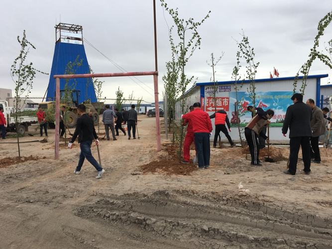 我為沙漠添點綠