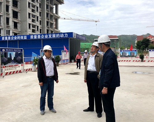 司正林深入大秦置業公司江南世紀城項目檢查指導安全工作