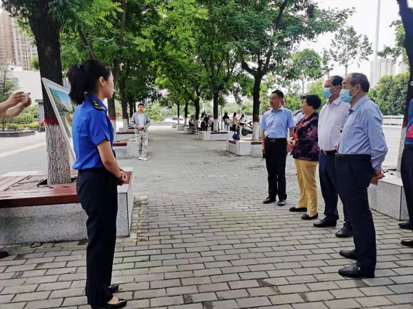 西安市碑林區人大代表深入陜煤建設澄合分公司承建的背街小巷提升改造項目進行考察