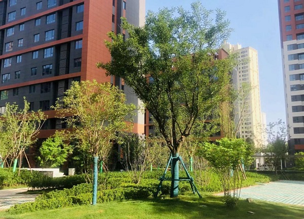 陜煤建設(shè)綠宇公司：藍山水岸項目收尾顯擔當  大干快干展新顏