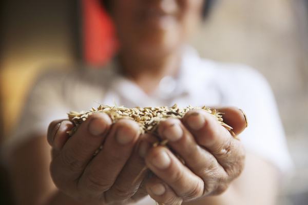 起點不同 幸福相同