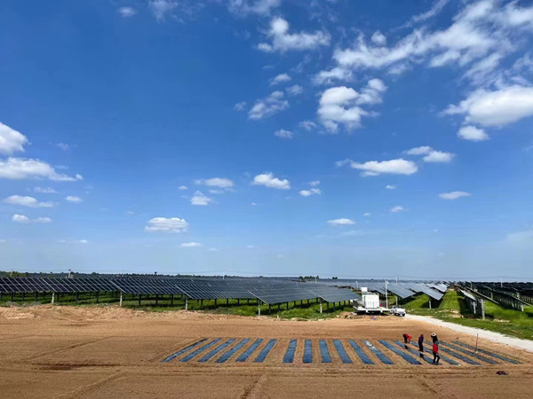 陜煤建設(shè)機電安裝公司蒲白光伏發(fā)電項目順利通過商業(yè)運營前監(jiān)督檢查