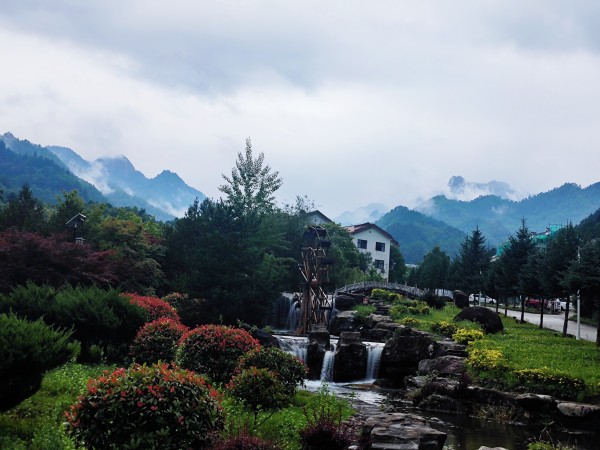 在木王山，遇見21℃的夏天