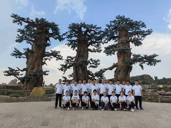 陜煤建設煤礦運營服務分公司：開展“放飛心情  健行健康”健步走活動