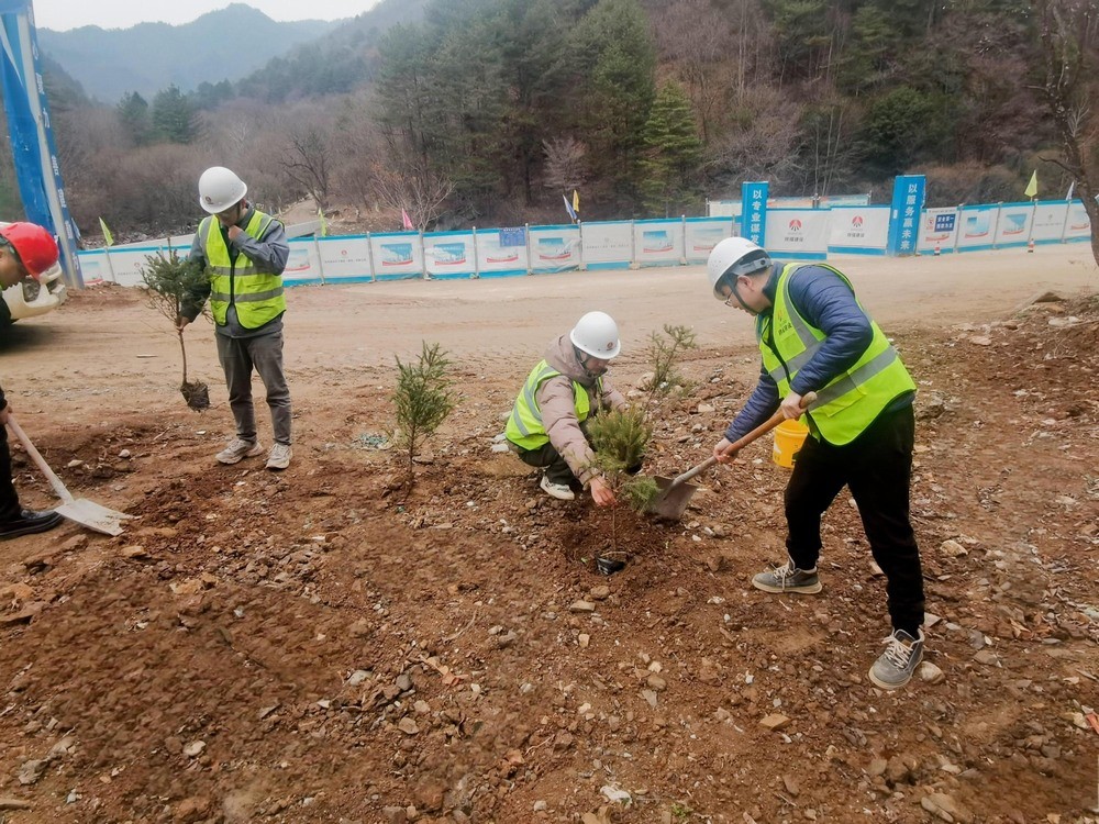 “植”此青綠，陜煤建設路橋分公司春風十里添新林