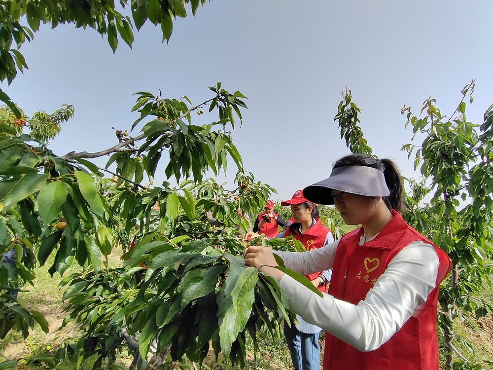 陜煤建設(shè)澄合分公司：助力農(nóng)耕踐初心 防災宣傳擔使命