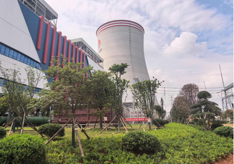 陜煤建設西北分公司：綠意盎然入電廠，生態建設譜新章