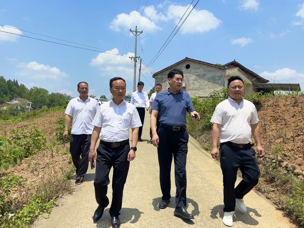 司正林到定點幫扶村調研助力鄉村振興工作