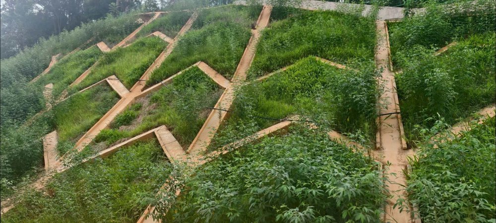 陜煤建設西北分公司：長安益陽發電有限公司2×100萬千瓦擴能升級改造項目 高邊坡支護工程順利通過竣工驗收